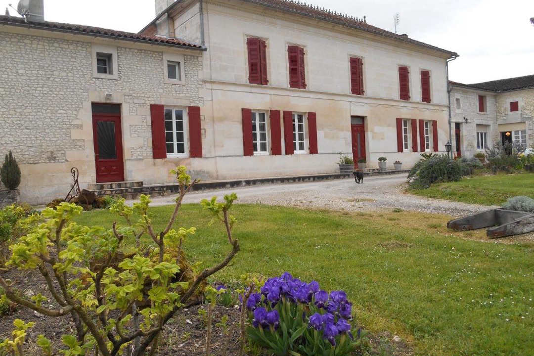 Photo of Others in Jarnac-Champagne