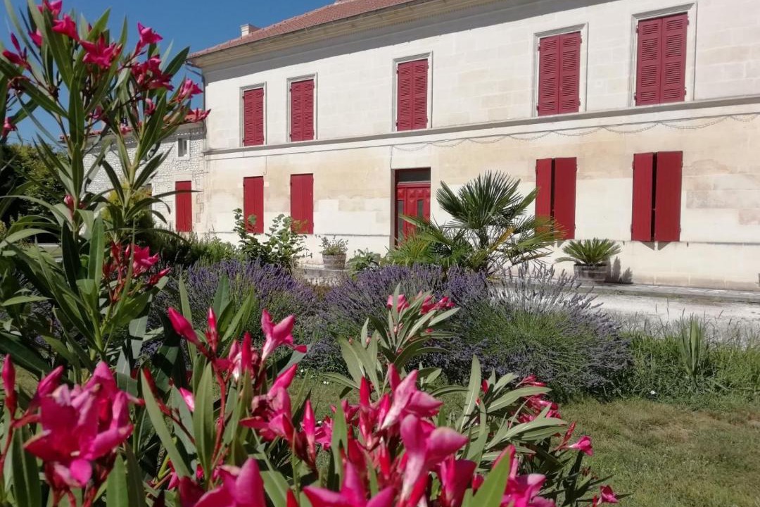Photo of Others in Jarnac-Champagne