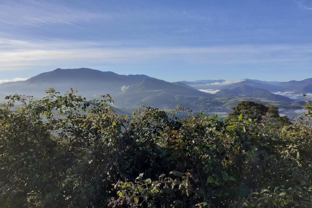Photo of Outdoor in Irissarry