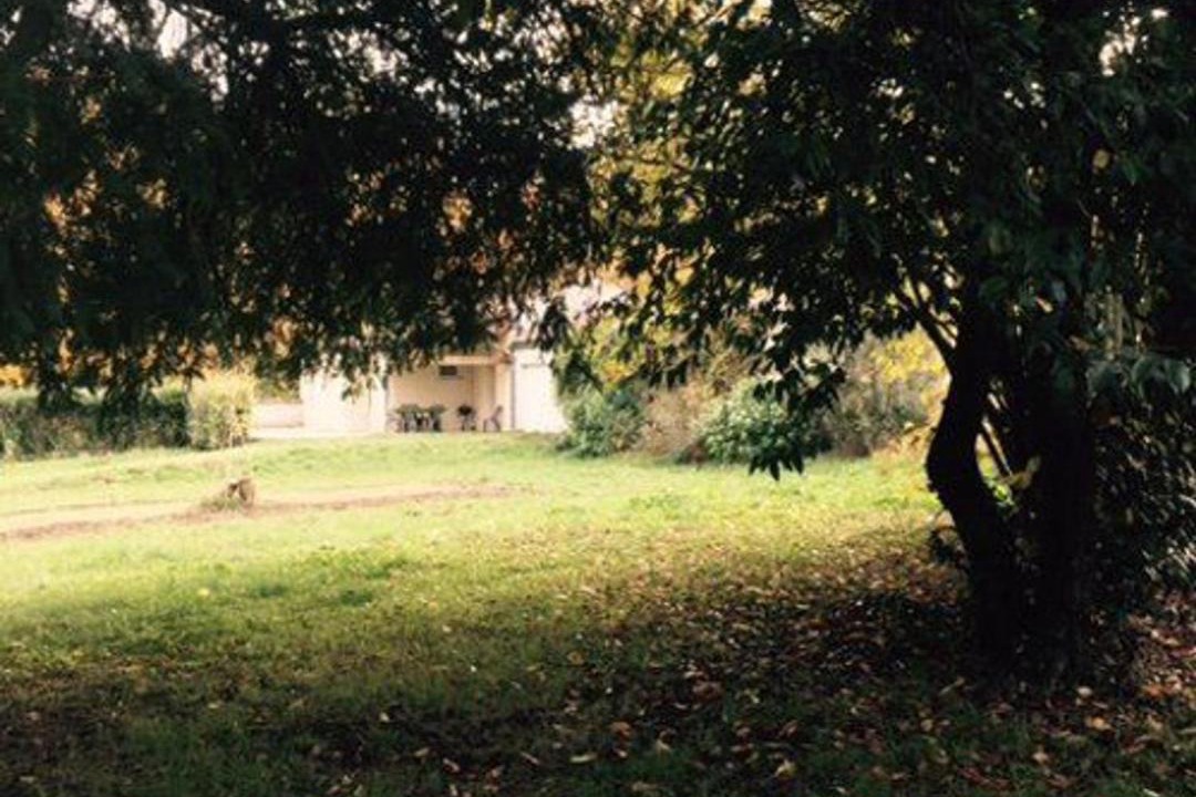 Photo of Others in Cognac