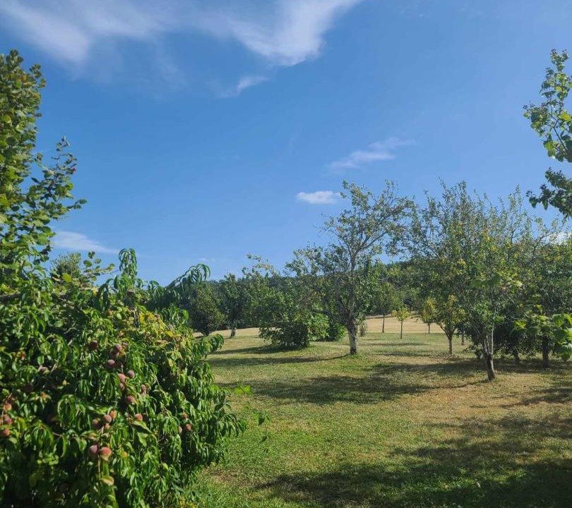 Photo of Others in Tournon-d'Agenais