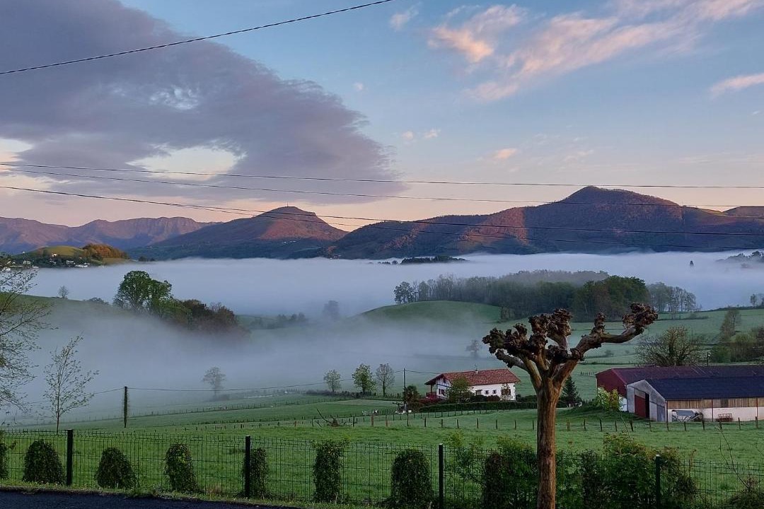 Photo of Others in Aincille
