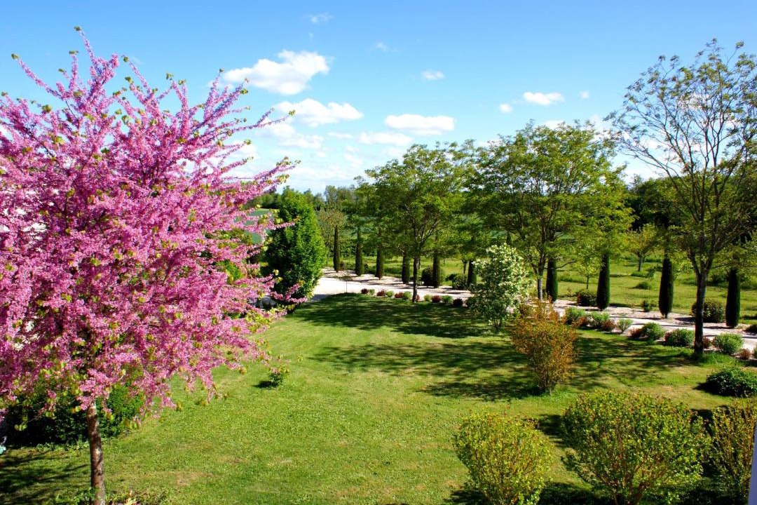 Photo of Others in Fontaines-d'Ozillac