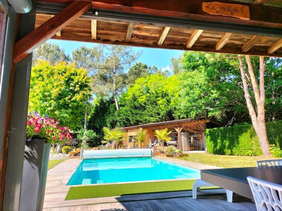 Photo of Outdoor in Salles