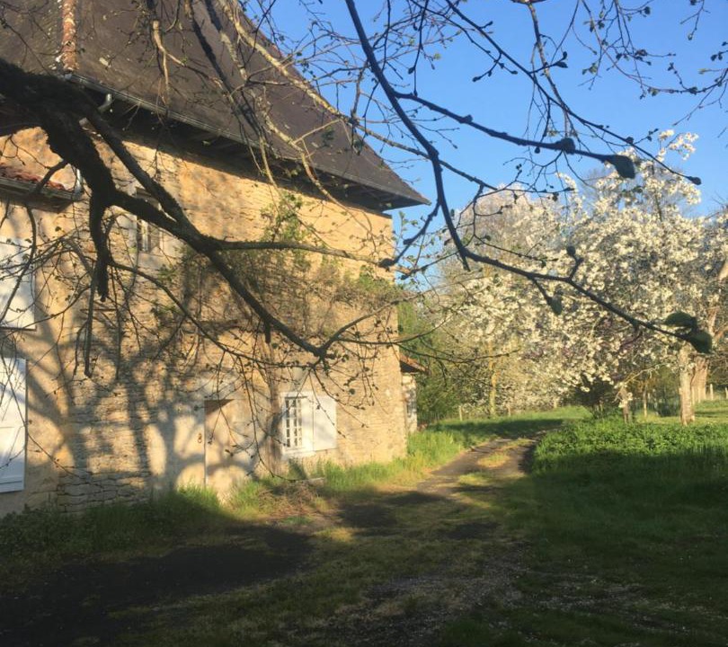 Photo of Buildings in Jousse