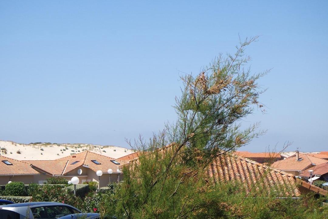Photo of Others in Biscarrosse Plage