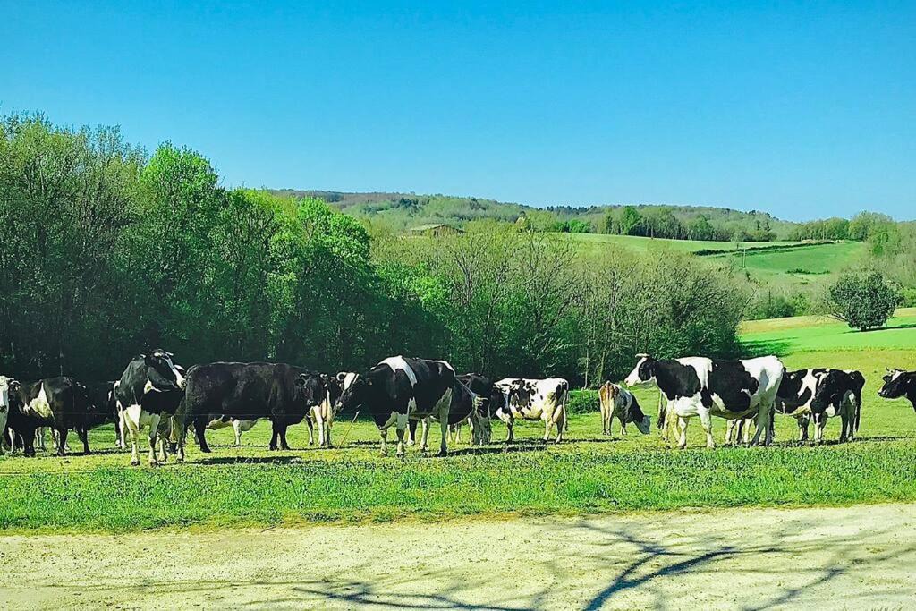 Photo of Others in Le Buisson-de-Cadouin