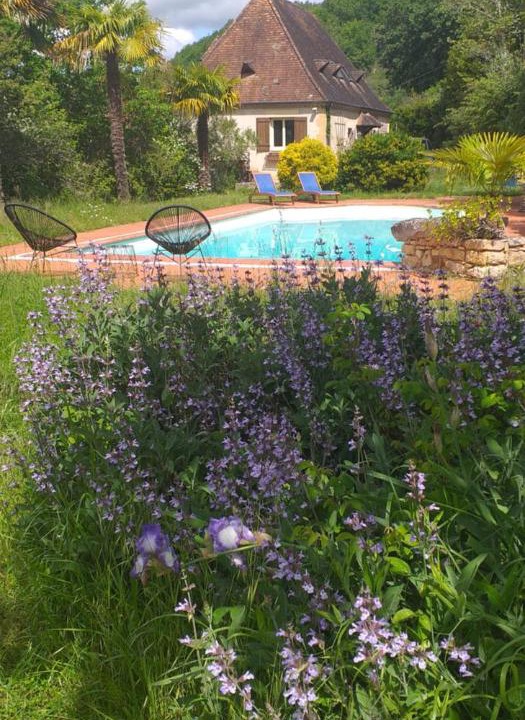 Photo of Outdoor in Saint-Cyprien