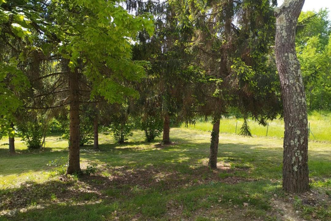 Photo of Outdoor in Le Cler