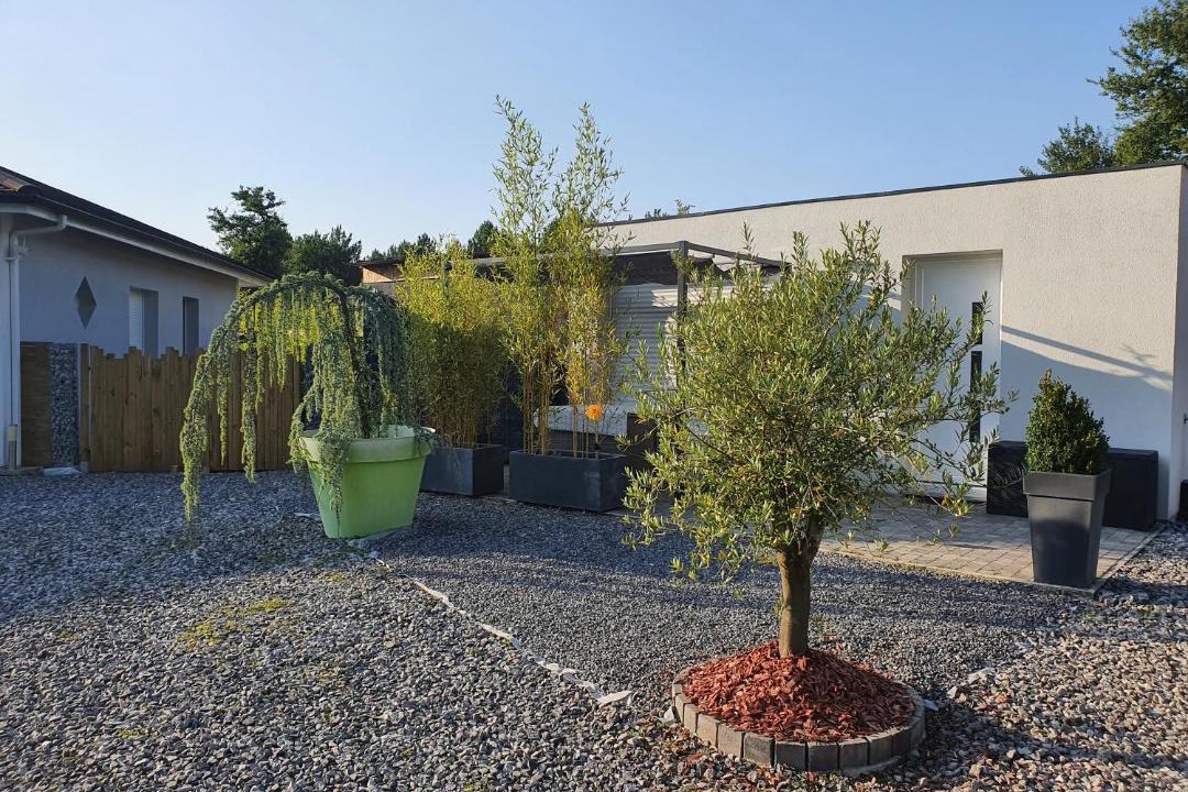 Photo of Buildings in Mios