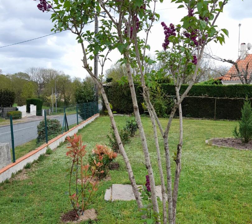 Photo of Others in Montmorillon