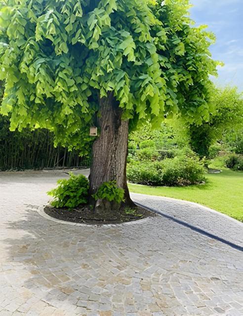 Photo of Outdoor in Floirac