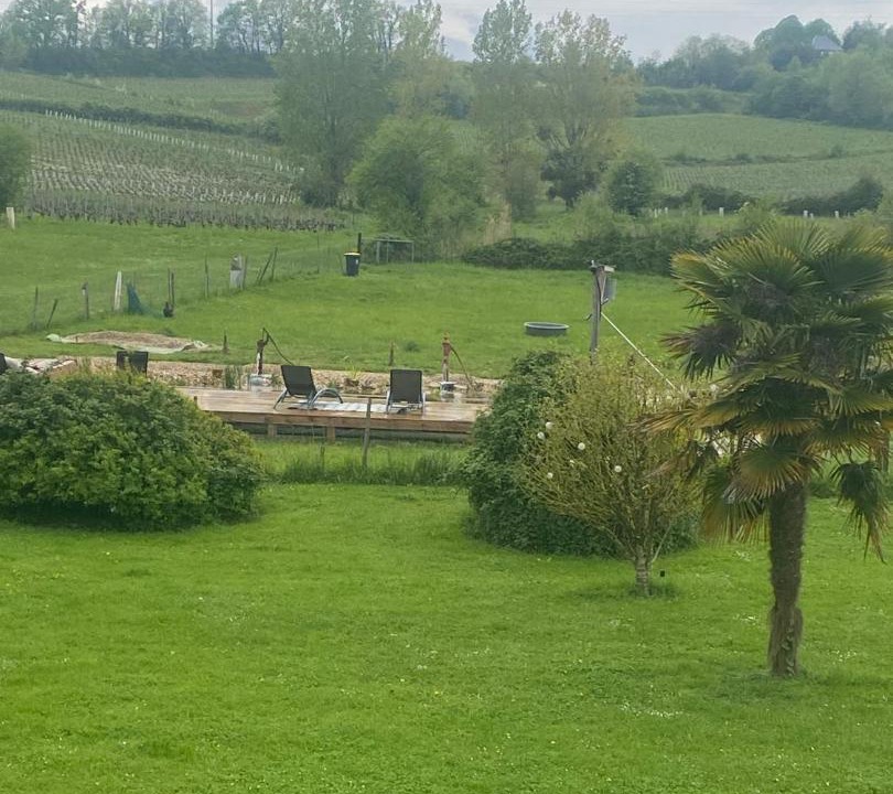 Photo of Others in Bourg-sur-Gironde