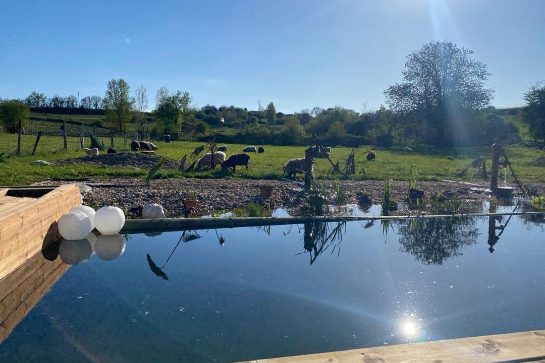 Photo of Others in Bourg-sur-Gironde