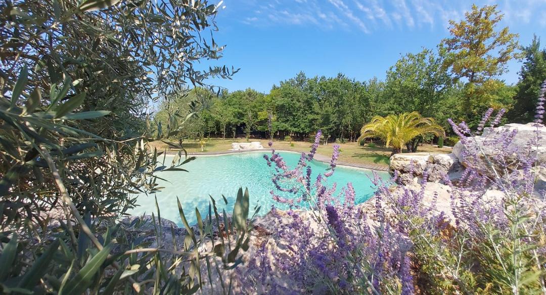 Photo of Outdoor in Queyrac