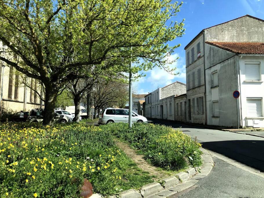 Photo of Others in Rochefort