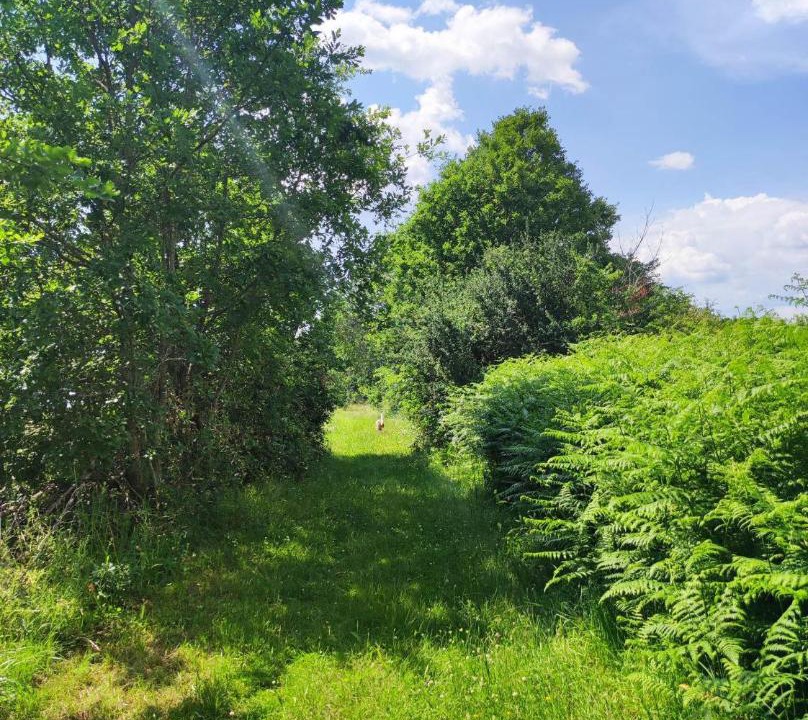 Photo of Outdoor in Couze-et-Saint-Front