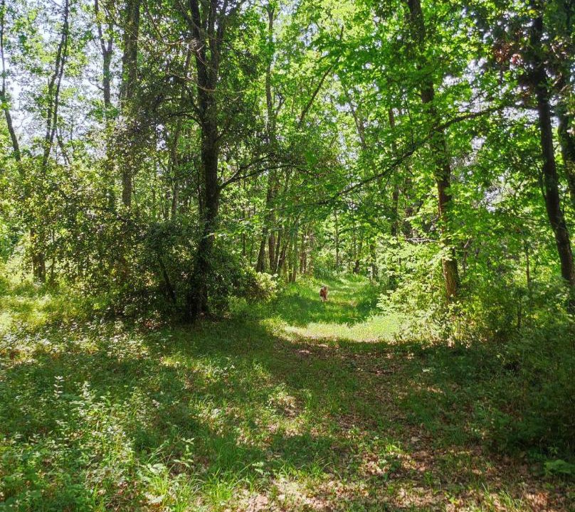 Photo of Outdoor in Couze-et-Saint-Front