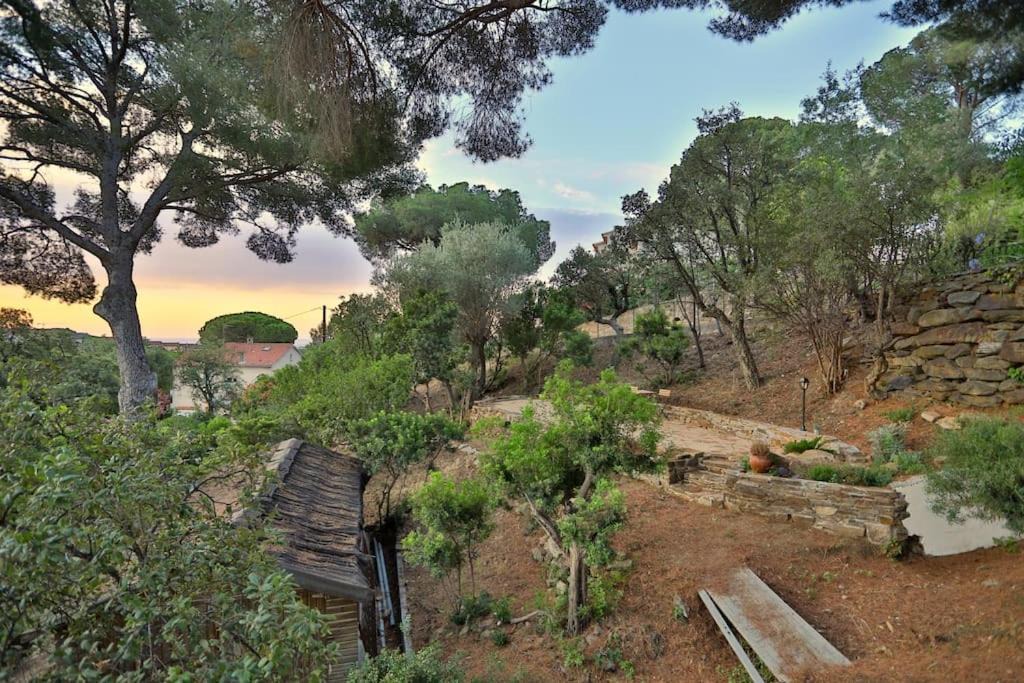 Photo of Others in Bormes-Les-Mimosas