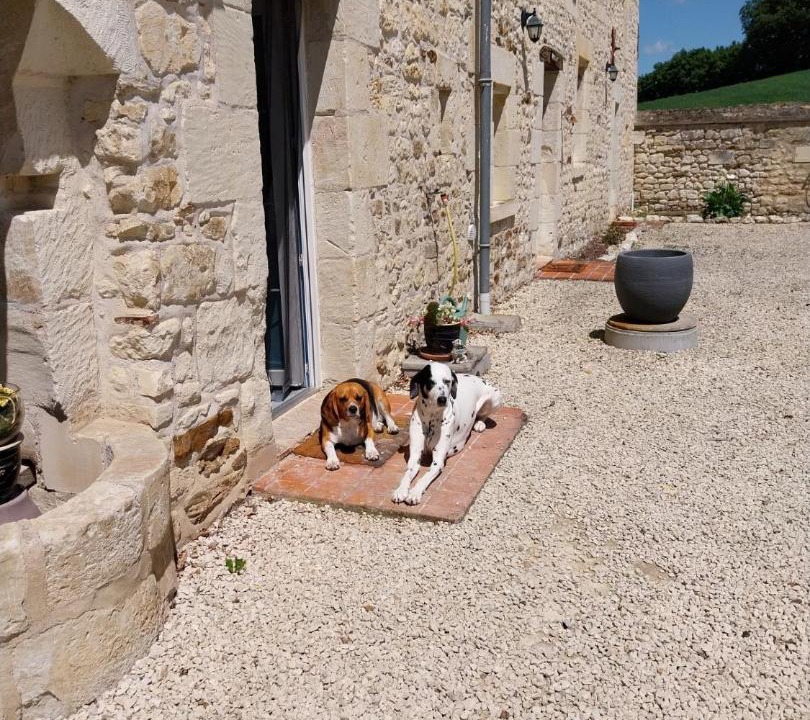 Photo of Others in Dange-Saint-Romain