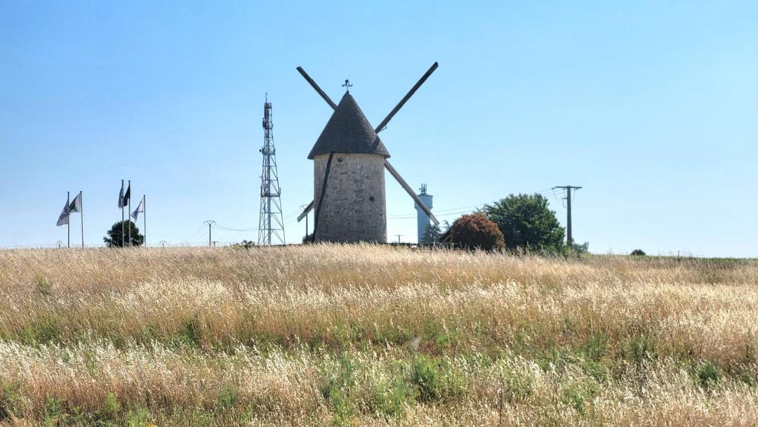 Photo of Others in Jonzac