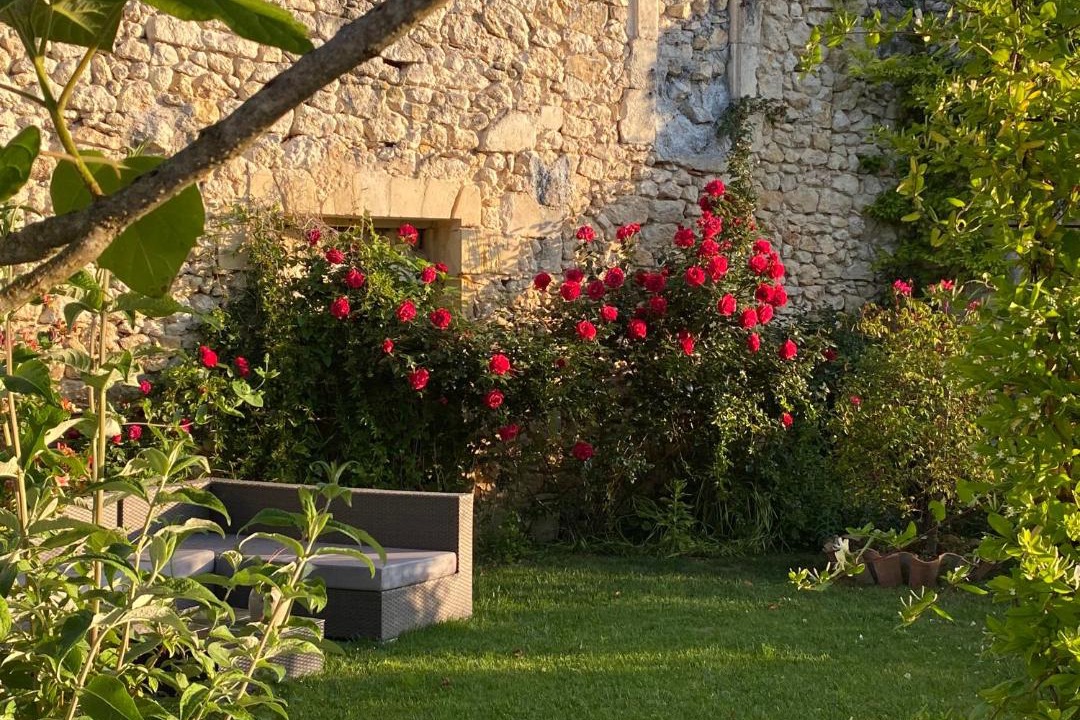 Photo of Others in Saint-Yzans-de-Medoc
