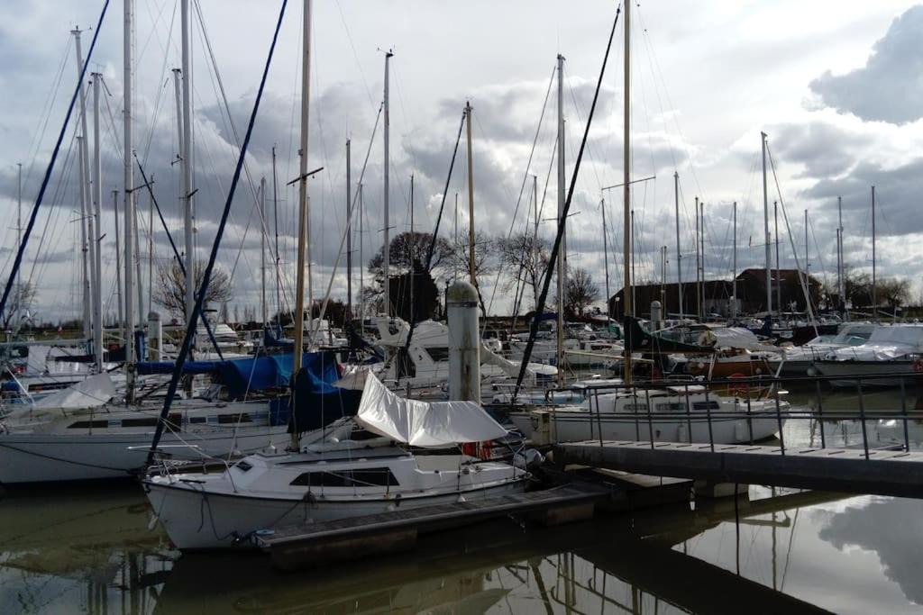 Photo of Others in Mortagne-sur-Gironde