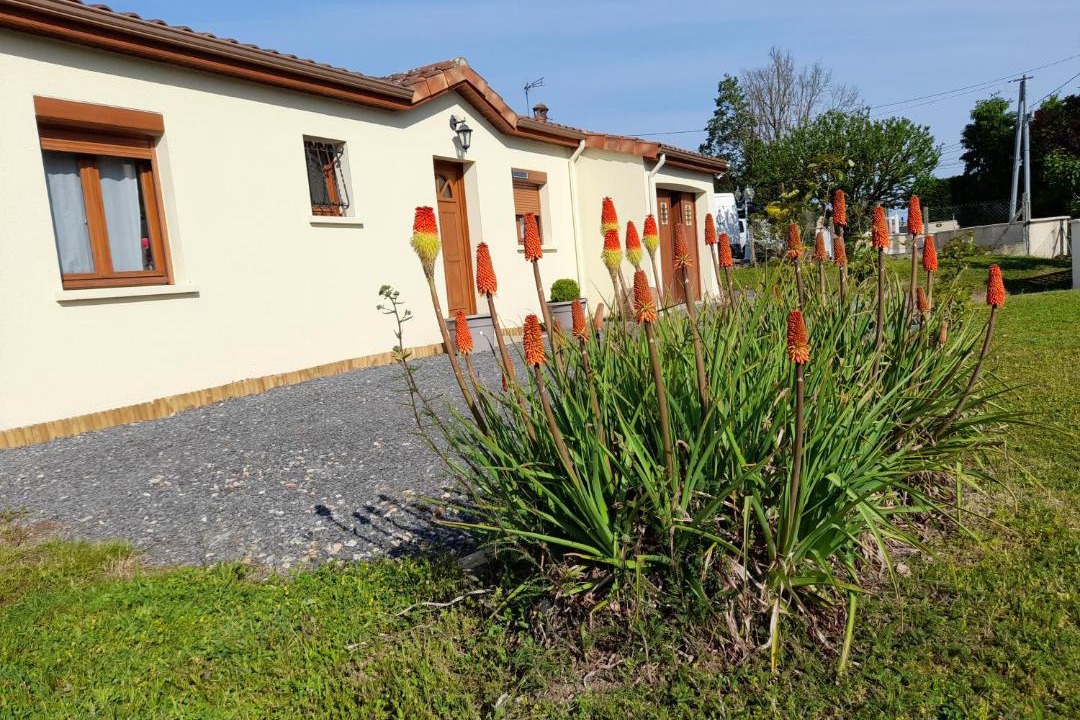 Photo of Buildings in Montmorillon