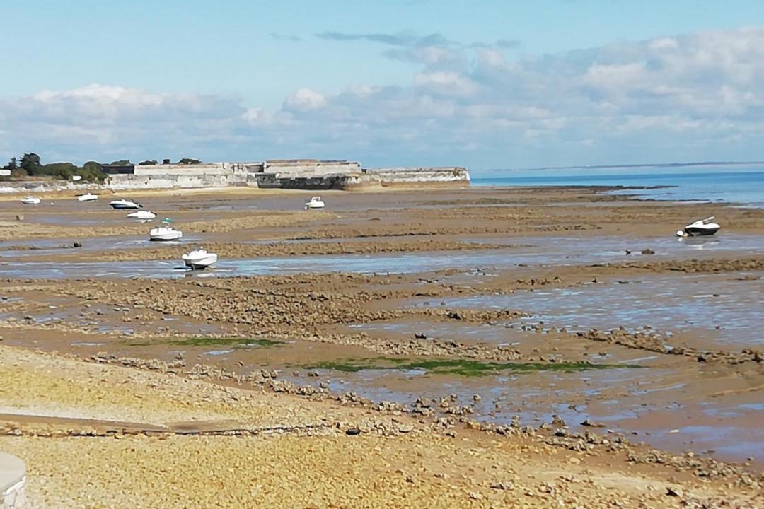 Photo of Outdoor in La Flotte