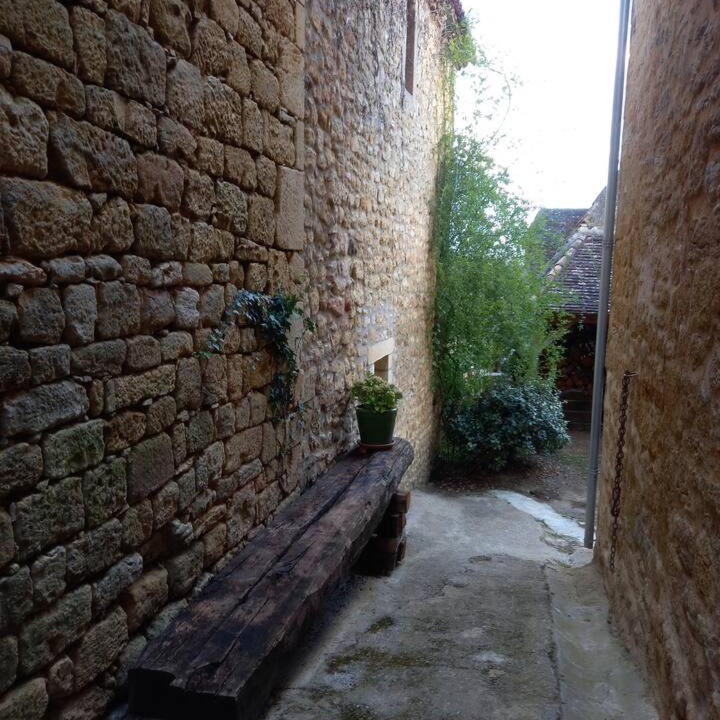 Photo of Buildings in Domme