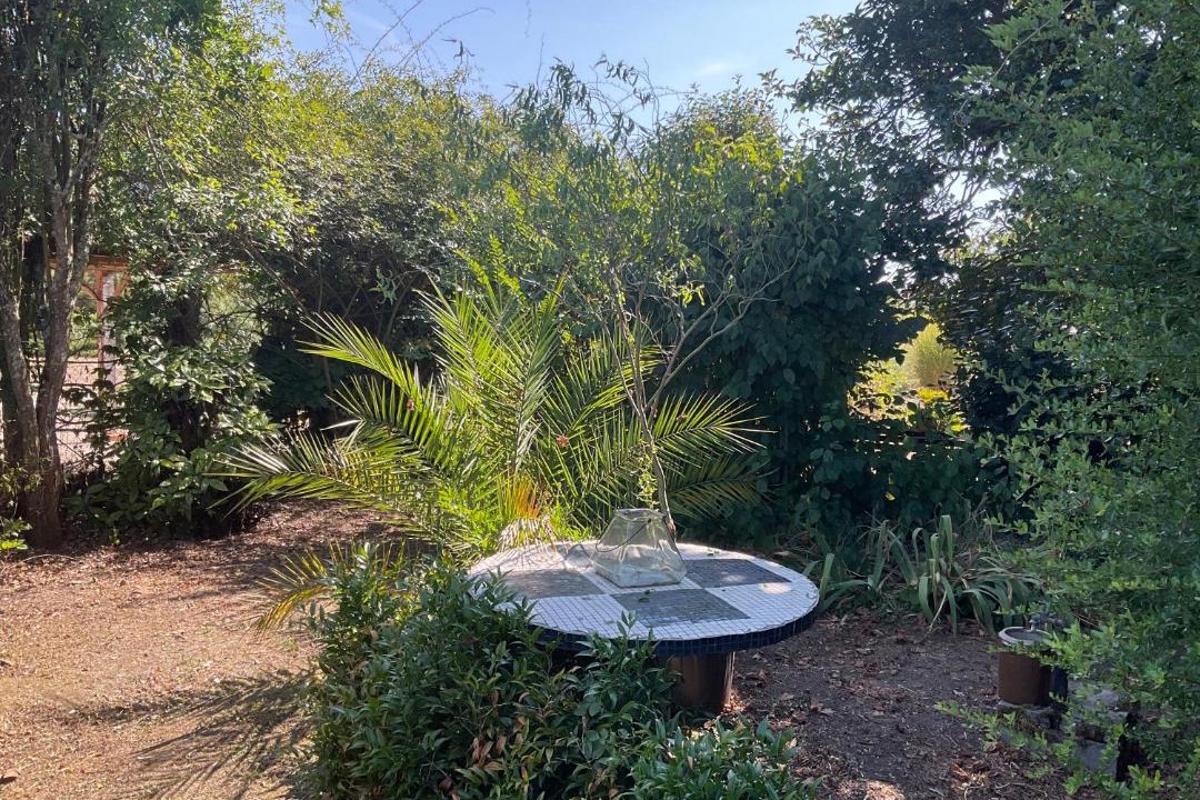 Photo of Outdoor in Robins Bay