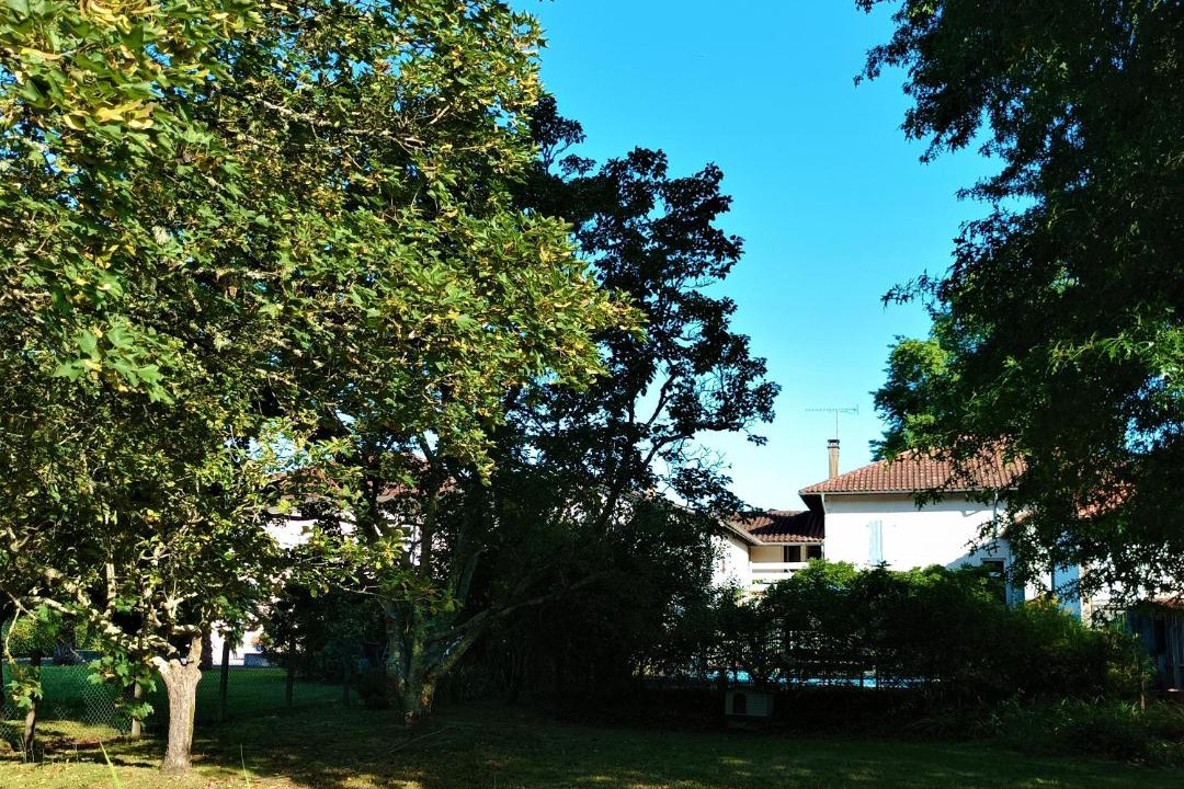 Photo of Others in Pouillon