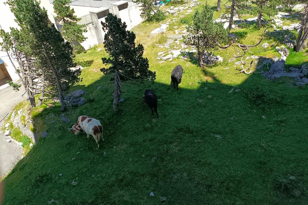 Photo of Others in Arette