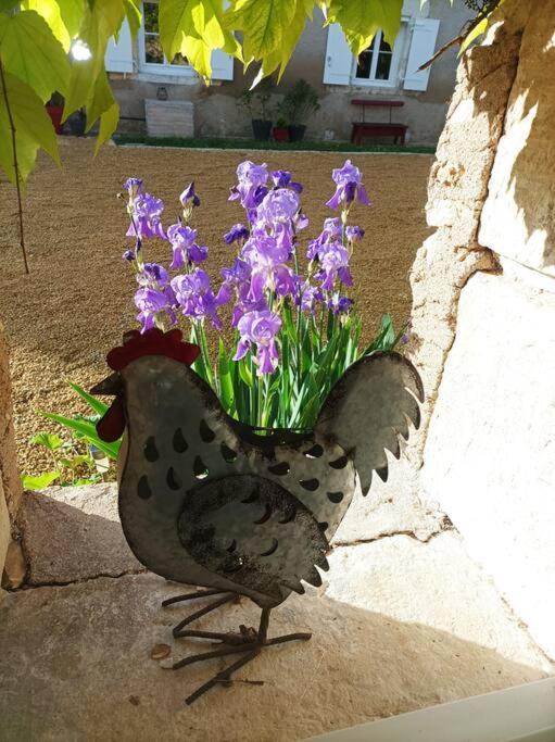 Photo of Patio Balcony in Avanton
