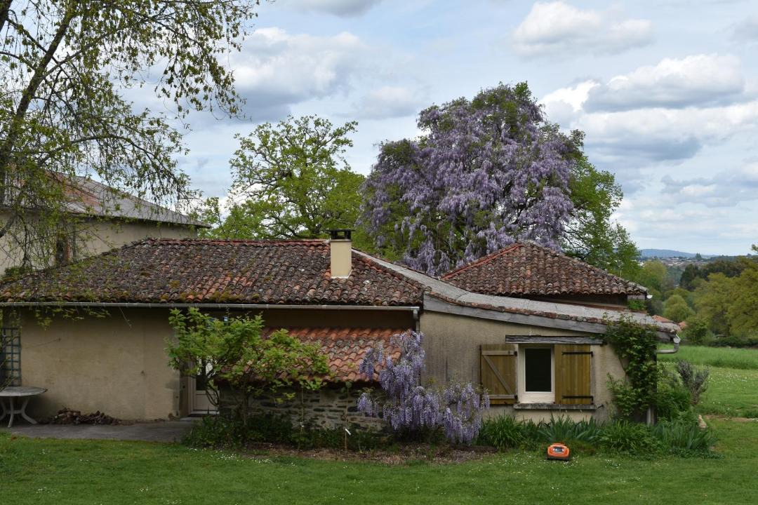Photo of Others in Saint-Junien