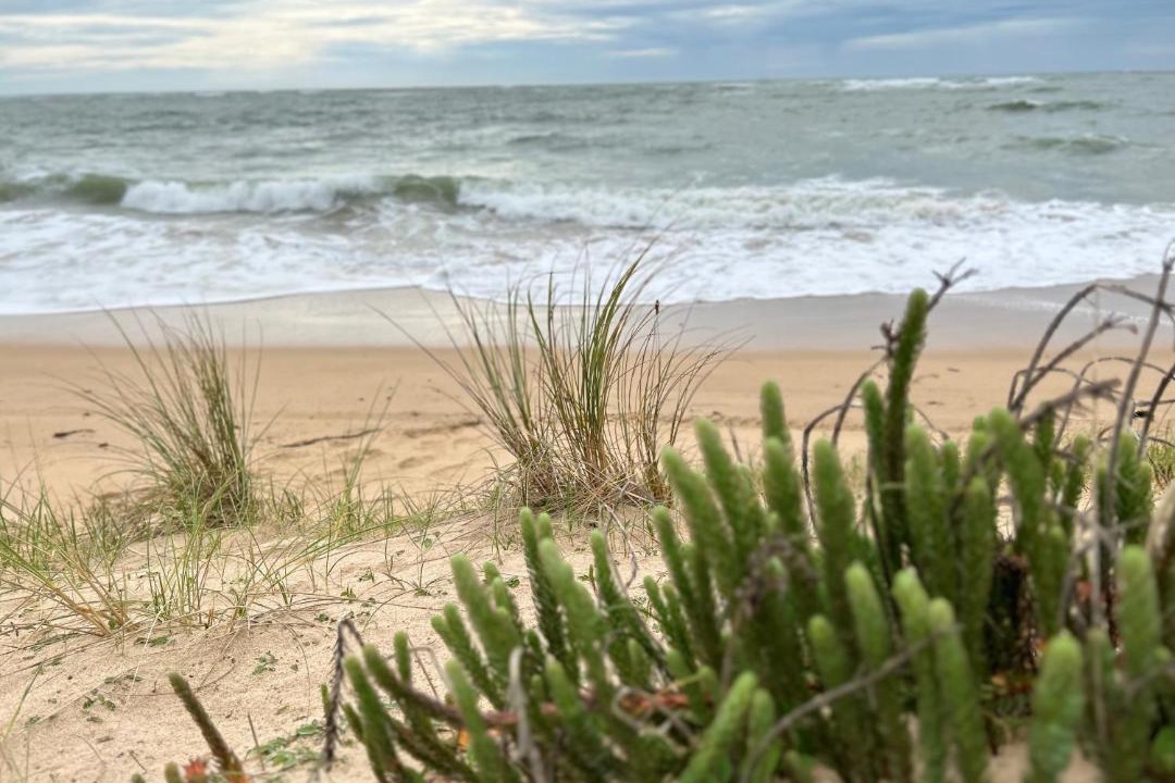 Photo of Outdoor in Saint-Georges-d'Oleron