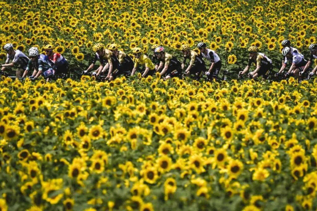 Photo of Outdoor in La Tour-Blanche-Cercles