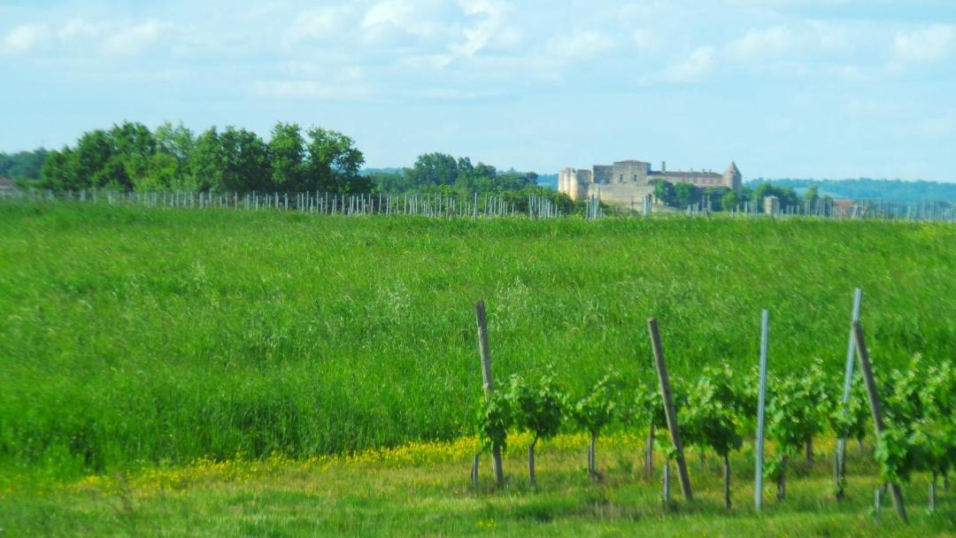 Photo of Others in Monprimblanc