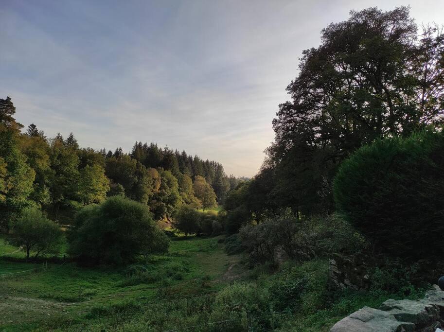 Photo of Others in Royere-de-Vassiviere