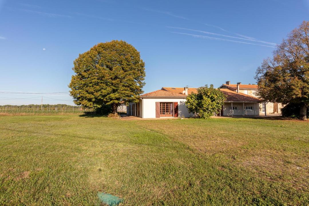 Photo of Others in Martillac