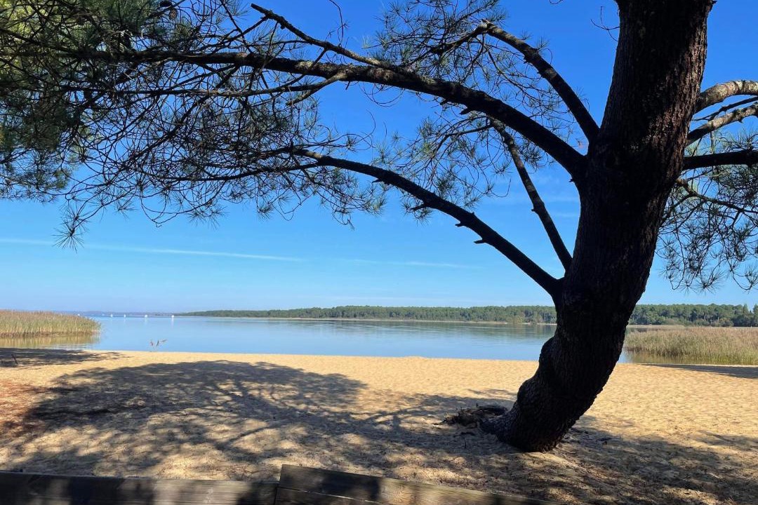 Photo of Outdoor in Sanguinet