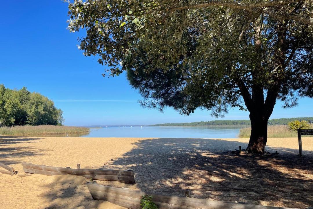 Photo of Outdoor in Sanguinet