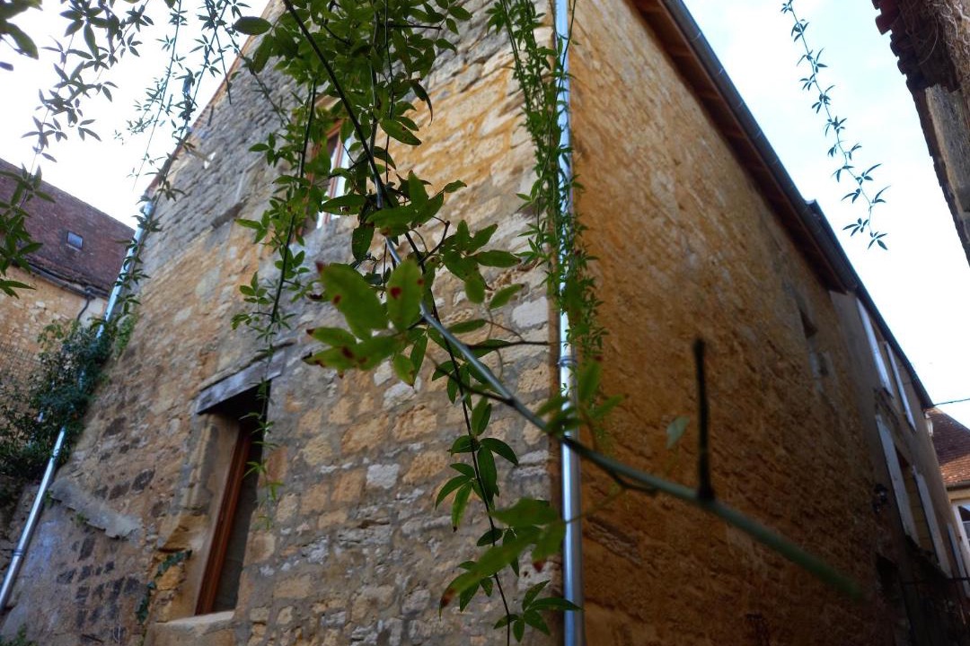 Photo of Buildings in Domme