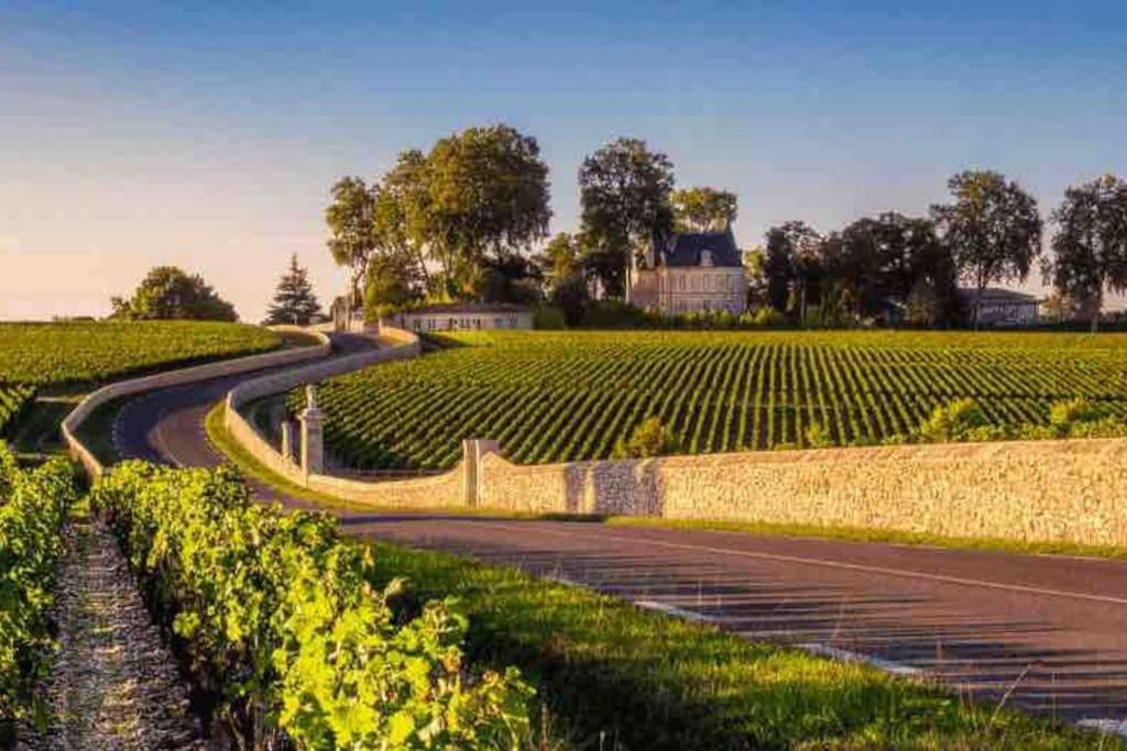 Photo of Others in Margaux-Cantenac
