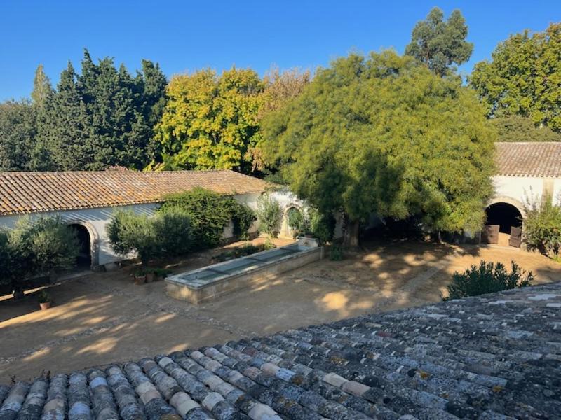 Photo of Others in Arles