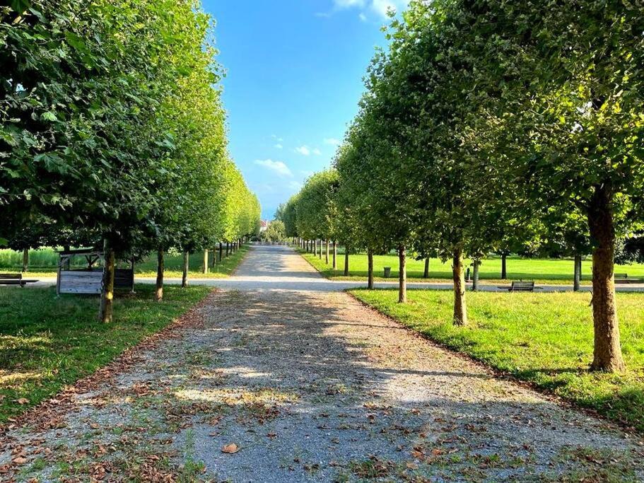 Photo of Outdoor in Centre Ville