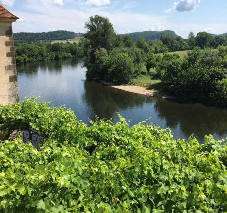 Photo of Outdoor in Beynac-et-Cazenac