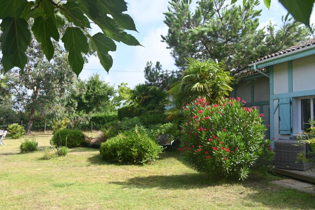 Photo of Others in Vielle-Saint-Girons