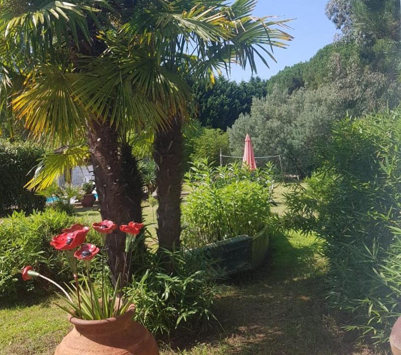 Photo of Others in Vielle-Saint-Girons