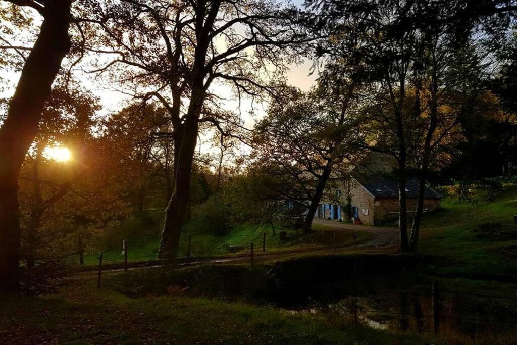 Photo of Others in Royere-de-Vassiviere